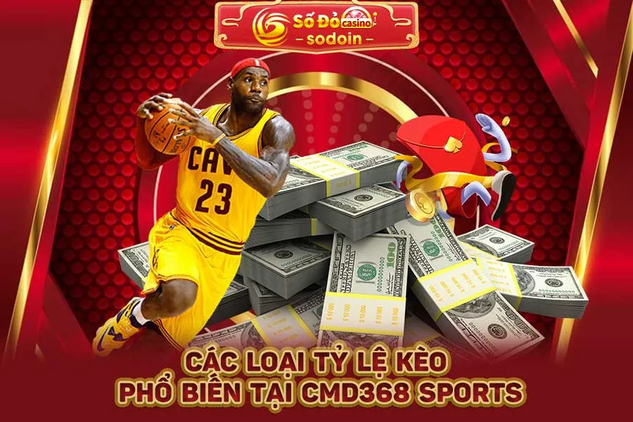 các-loại-tỷ-lệ-kèo-phổ-biến-tại-cmd368-sports