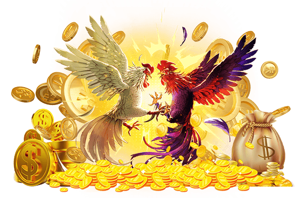 đá gà sodo casino