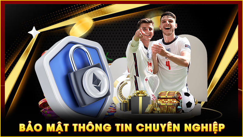 bảo mật hông tin chuyên nghiệp