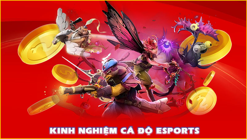 kinh nghiệm cá độ esports