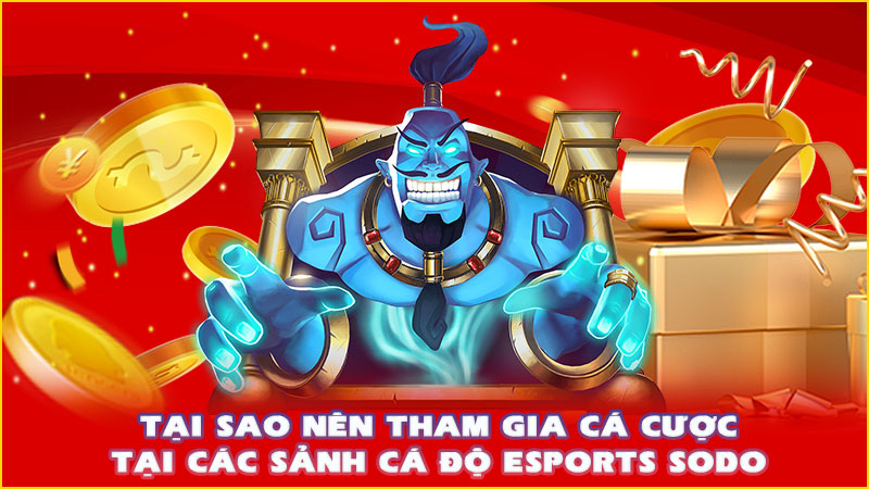 tại sao nên tham gia cá cược tại các sảnh cá độ esports sodo