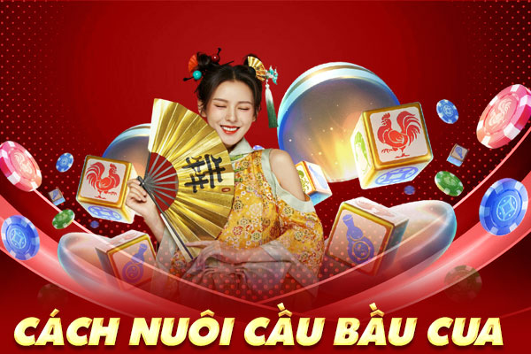 cách nuôi cầu bầu cua